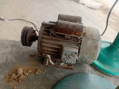 tokka motor copper100%