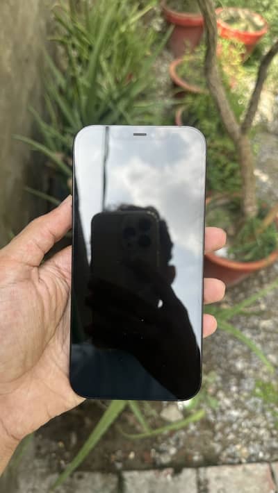 iPhone 12 Pro Max PTA, 91% health
