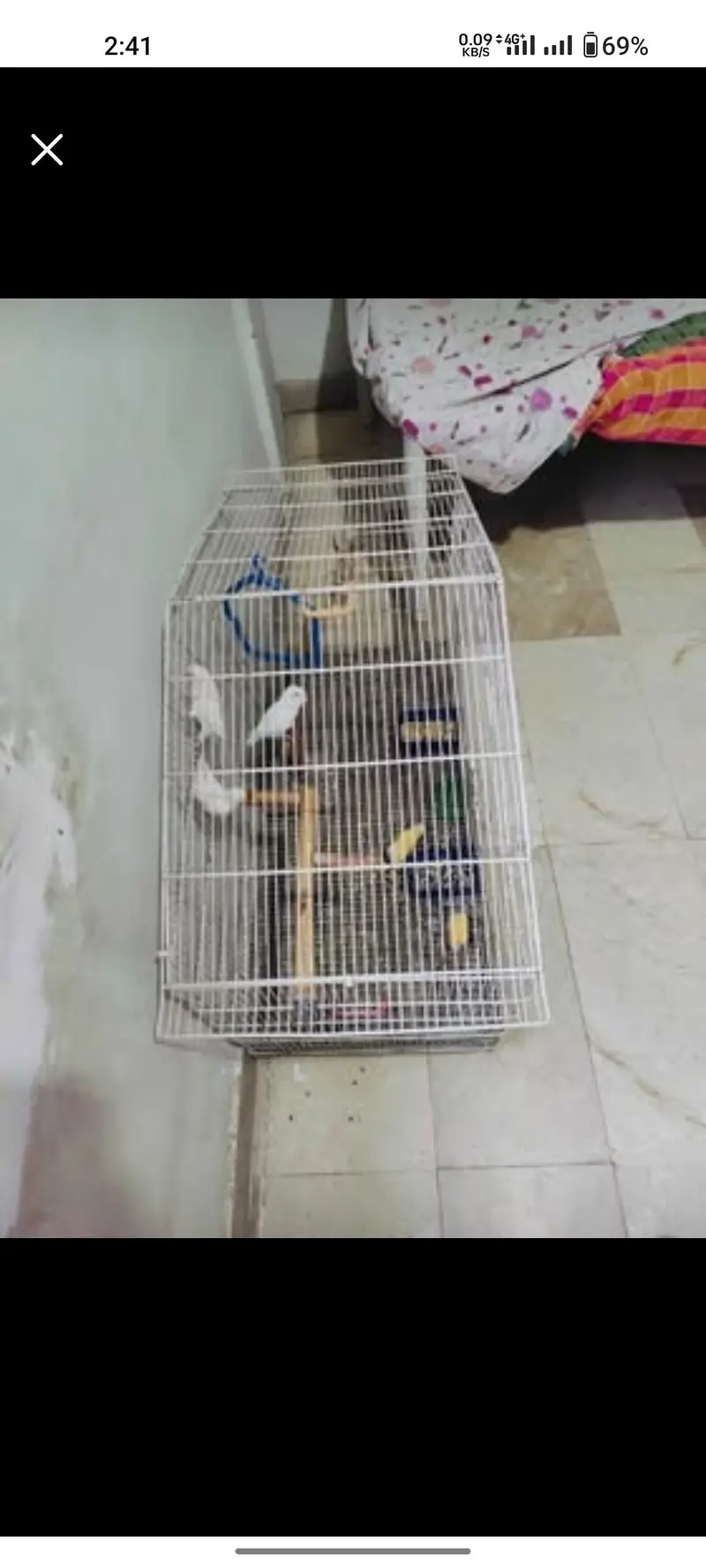 cage for birds cage for parrot — photo 3