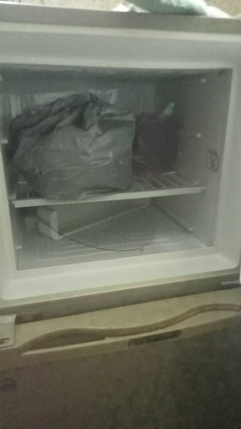 freez 1