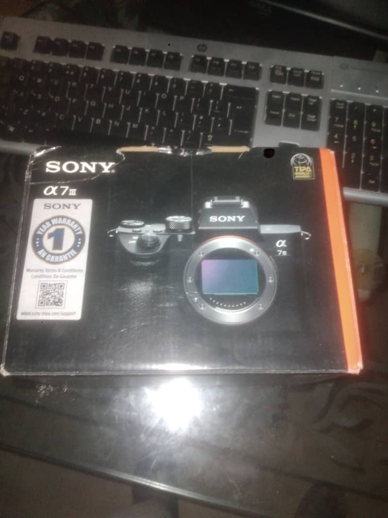 Sony A73 2