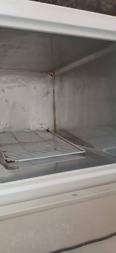Freezer & Refrigerator Sale
