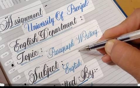 School college ,& University assignment
