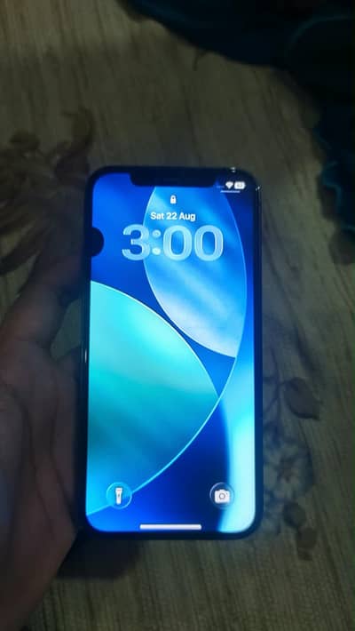 Apple iPhone 12 Pro