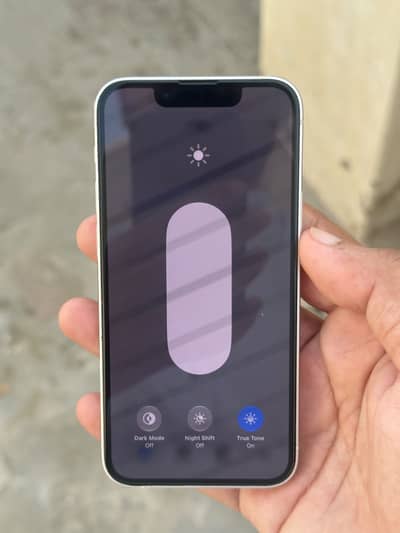 Apple iPhone 13 mini