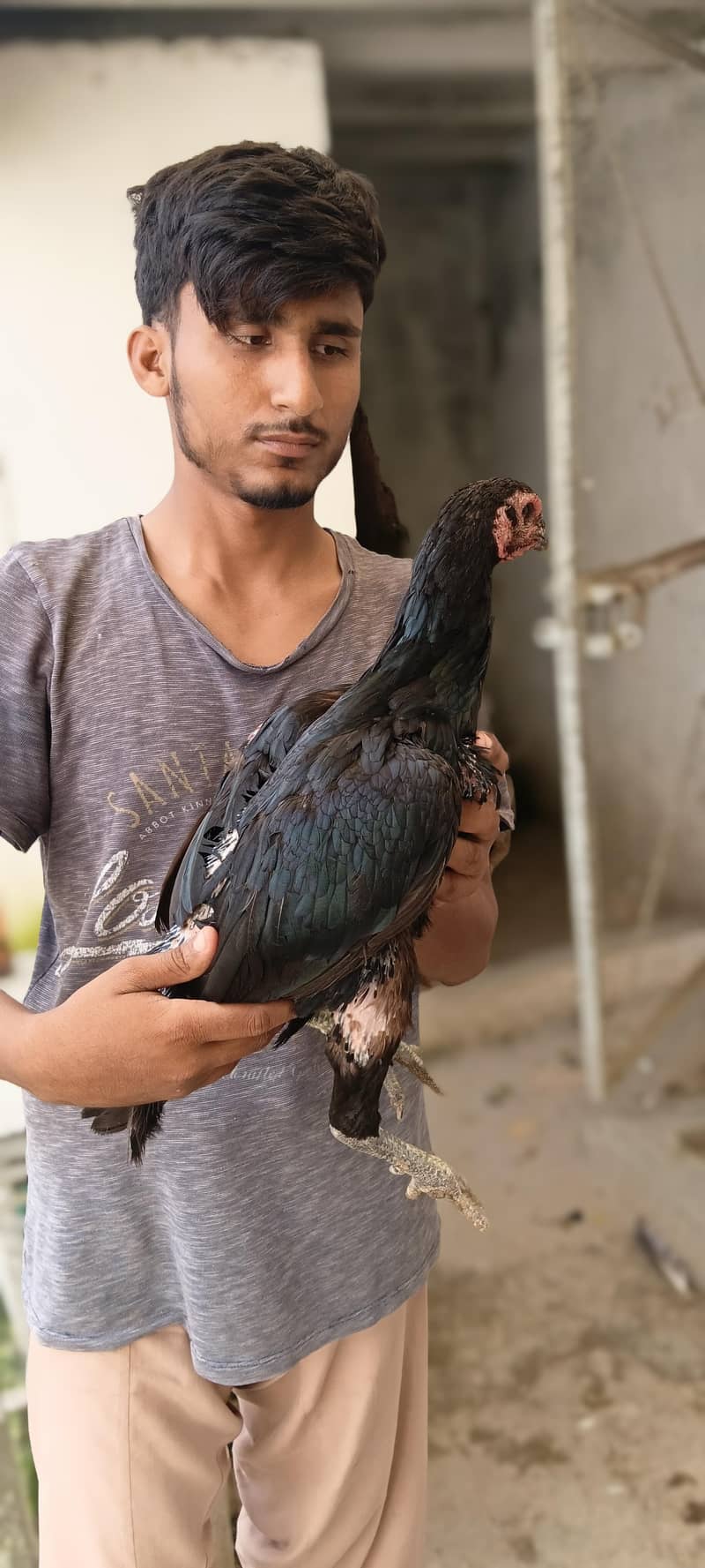 پیور پکوئی مادی ہے بچے بنانے والی ہے جو لے گا کرے گا بقایا مزید کمی پش 3