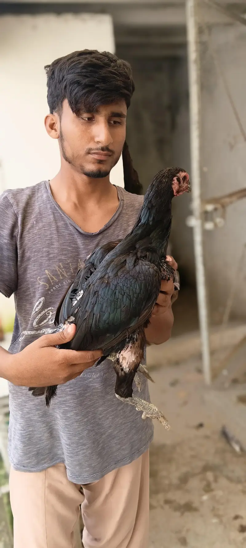 پیور پکوئی مادی ہے بچے بنانے والی ہے جو لے گا کرے گا بقایا مزید کمی پش — photo 4