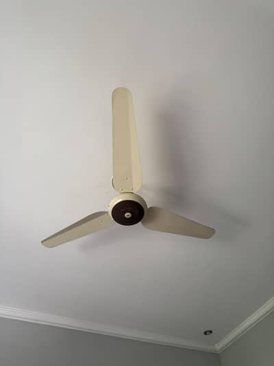 SK Fan 3 available
