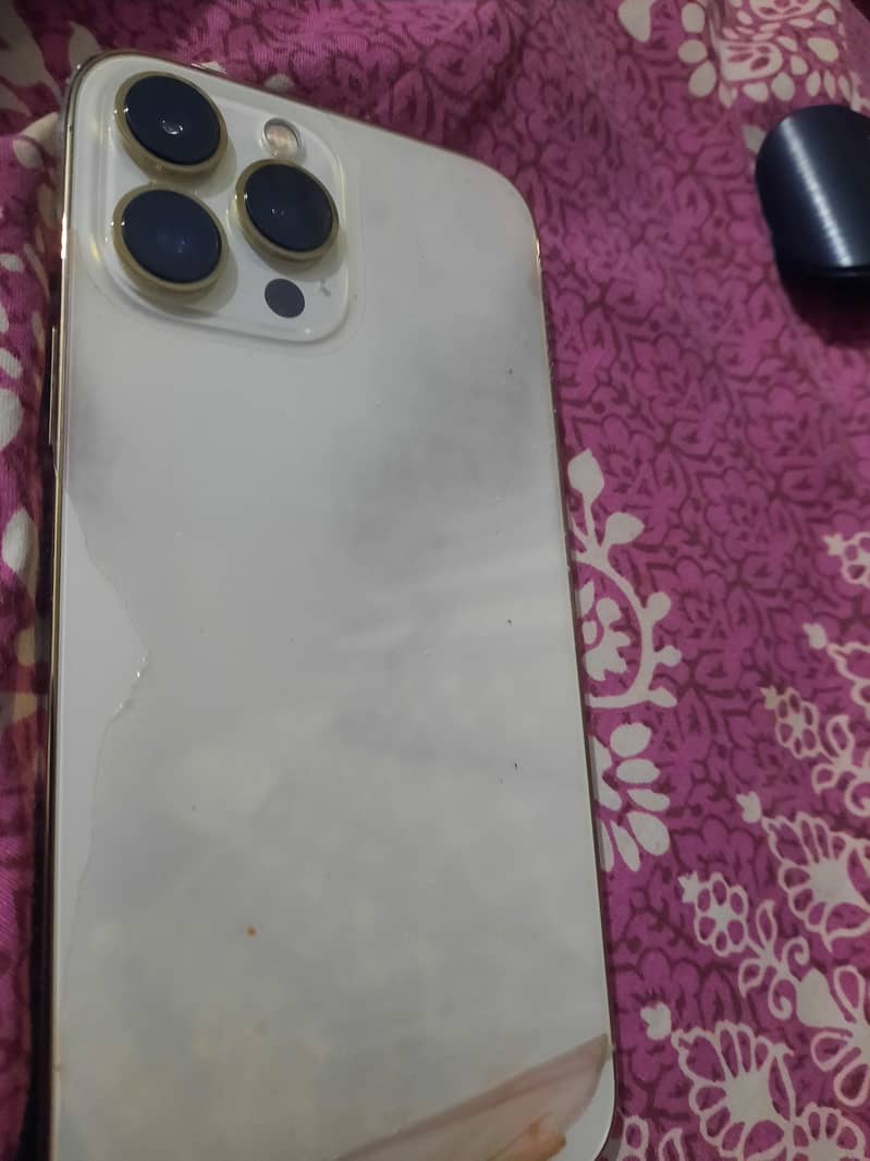 Apple iPhone 13 Pro Max 1
