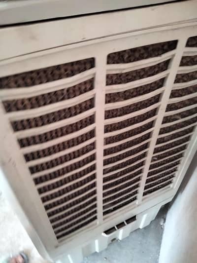 Air coolers
