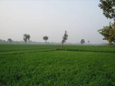 Agricultural Land Available For Sale