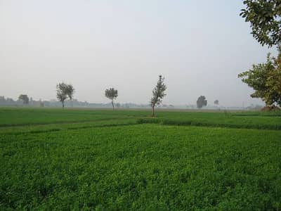 Industrial Land Available For Sale