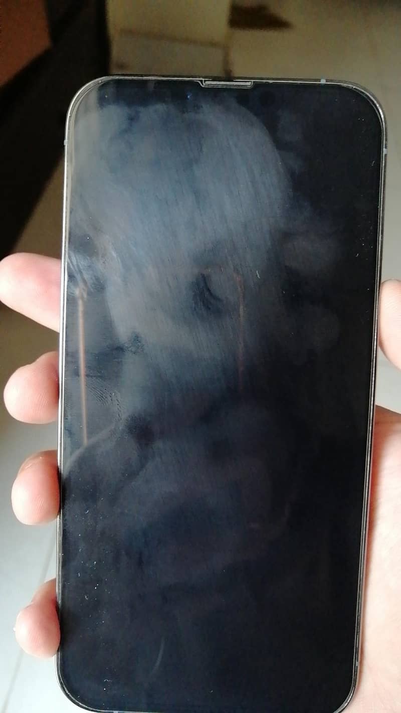 Apple iPhone 13 Pro Max 1
