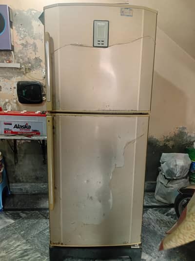 Full Size Fridge