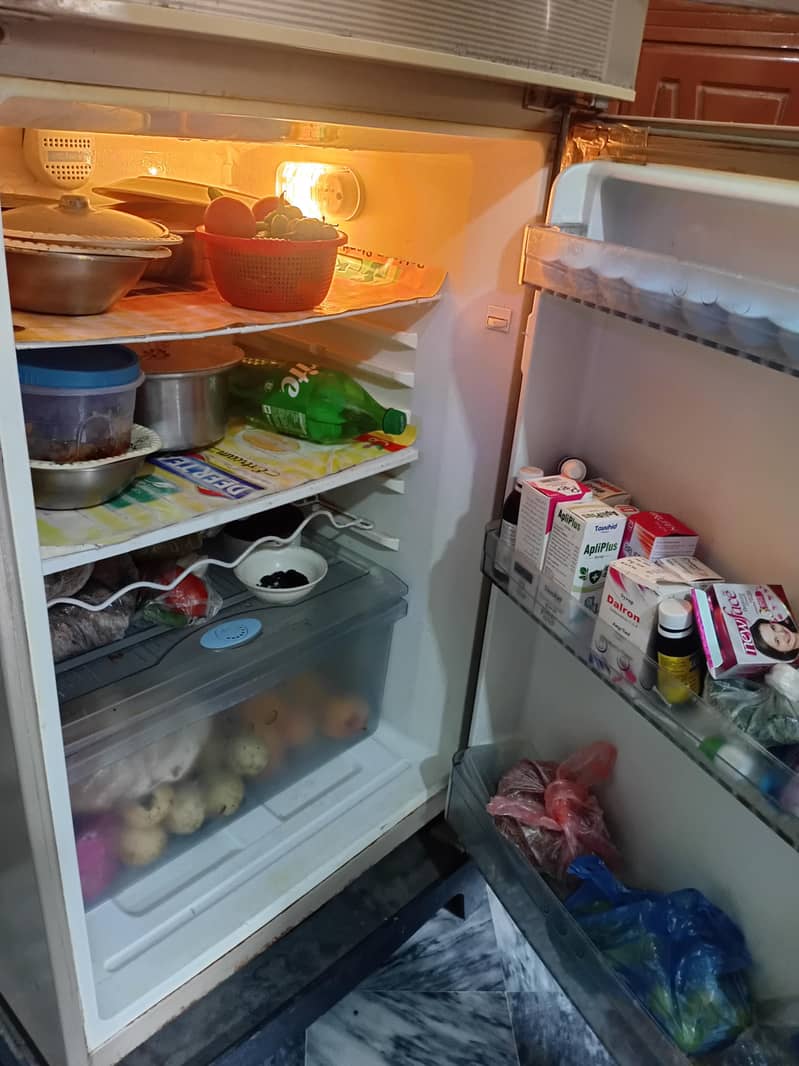 Full Size Fridge 1