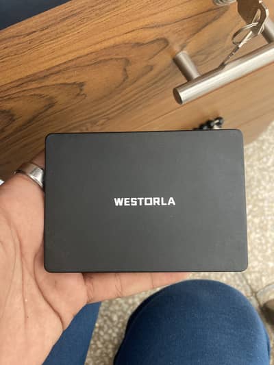 Westorla 256 GB SSD 100% health and performance