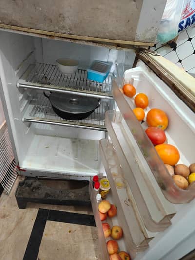 Dawlance Medium Size Refrigerator | Used | 10/10 Condition|With Stand