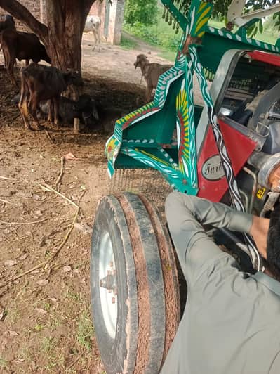 Massey 2020 A1