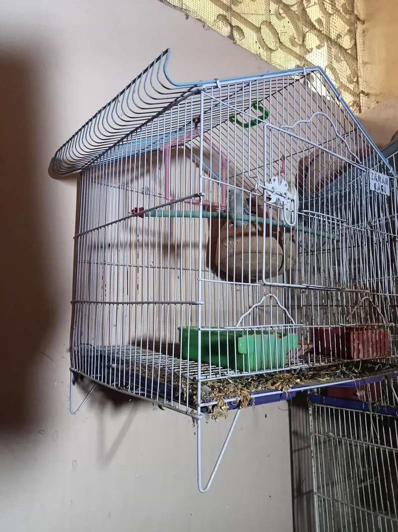 birds cage — photo 3