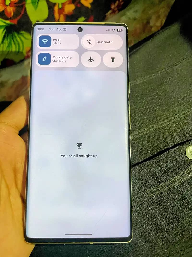 Google Pixel 6 Pro 2