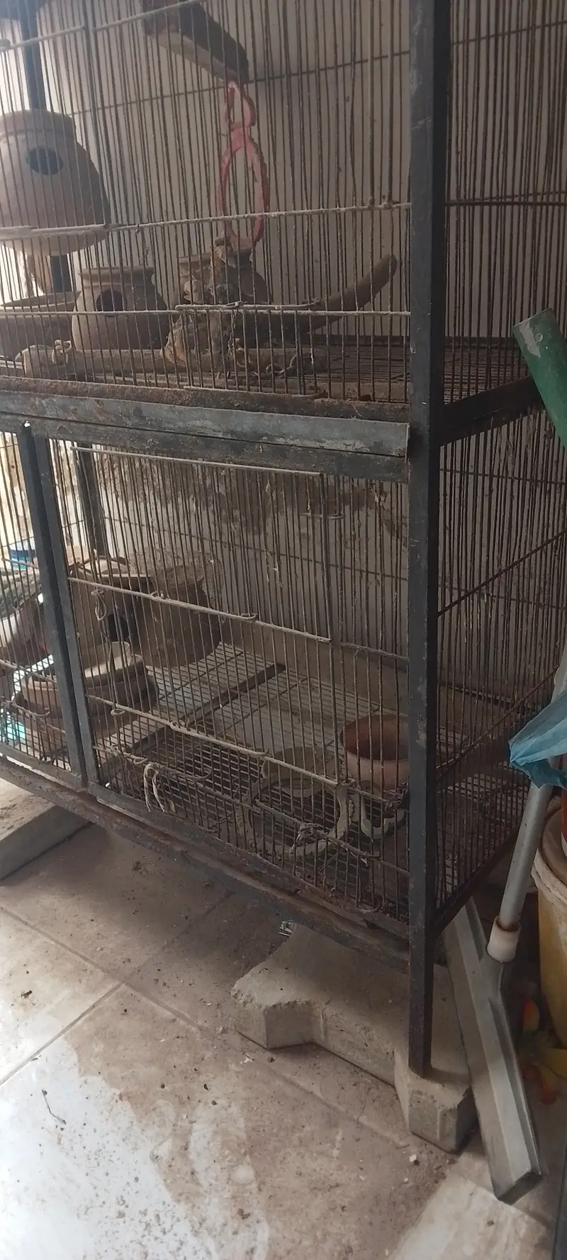 Iron cage double floor — photo 6
