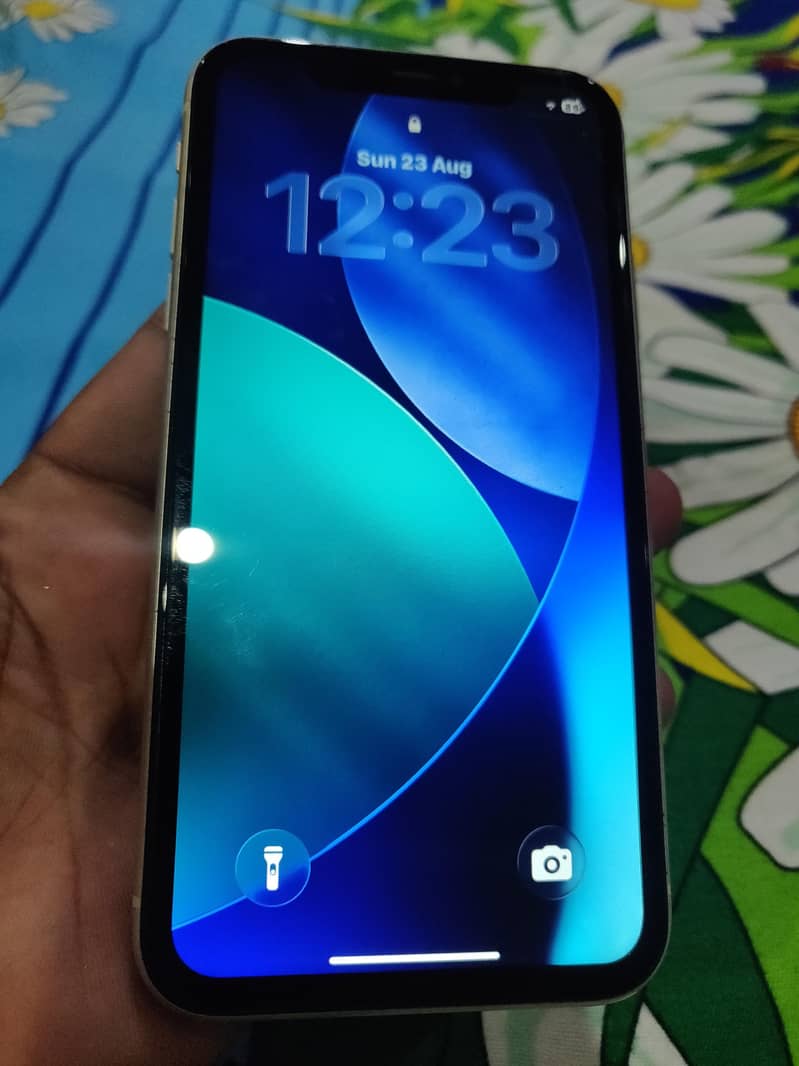 Apple iPhone 11 1