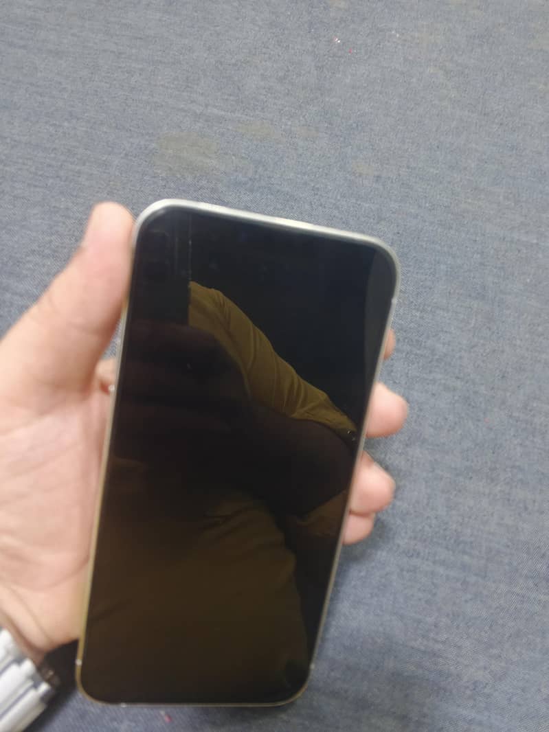Apple iPhone 13 Pro Max 12
