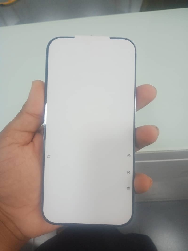 Apple iPhone 13 Pro Max 1