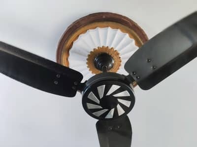 royal fan