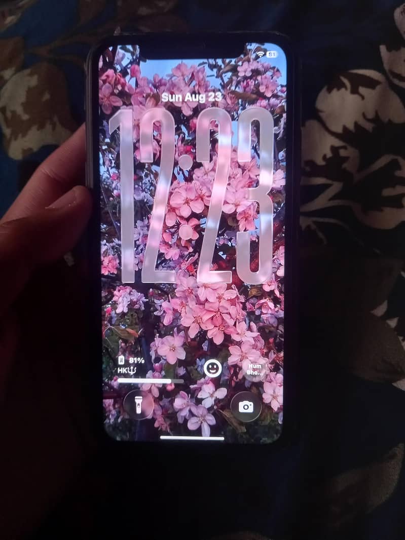 Apple iPhone 11 3