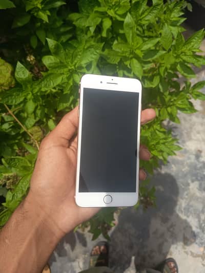 iPhone 8 Plus
