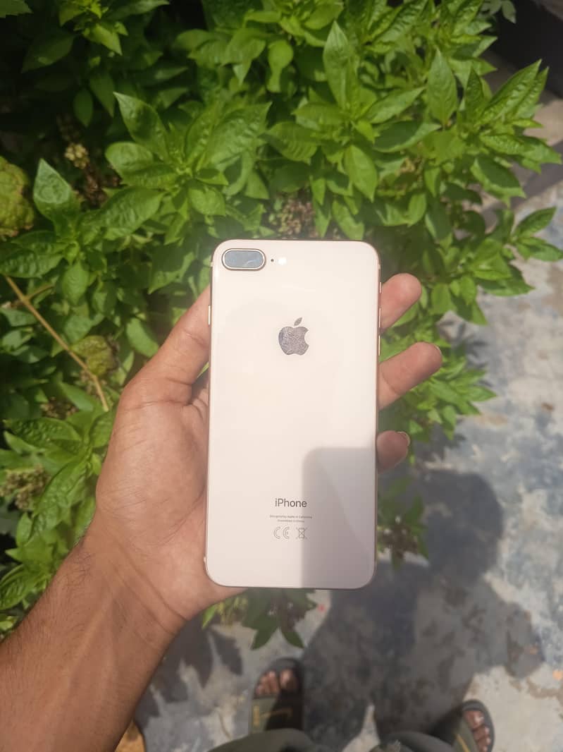 iPhone 8 Plus 1
