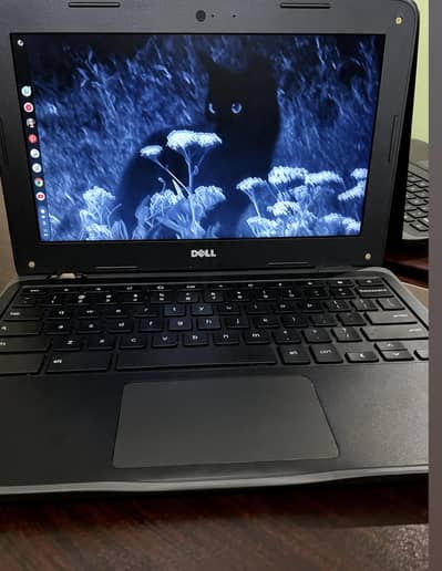 My Dell Chromebook: Price, Model, and Information