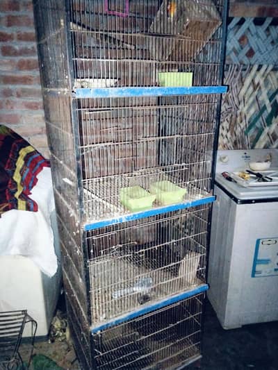 4 portion cage with birds