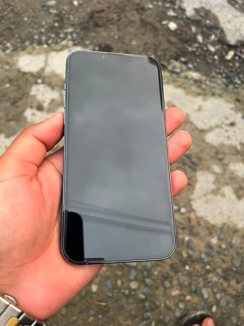 Apple iPhone 13 Pro Max 1