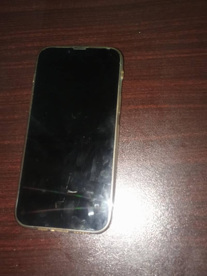 Apple iPhone 13 Pro Max 1