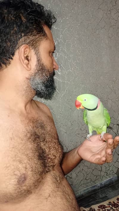 Sultan