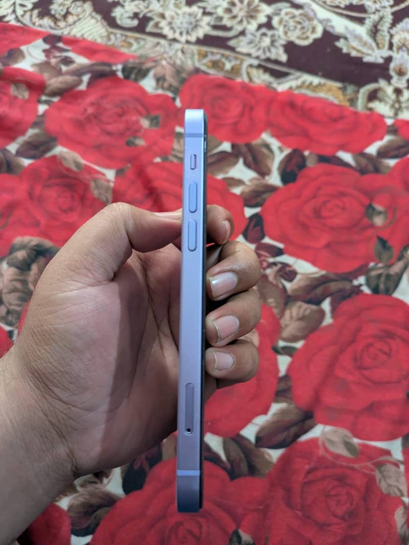 Apple iPhone 12 1