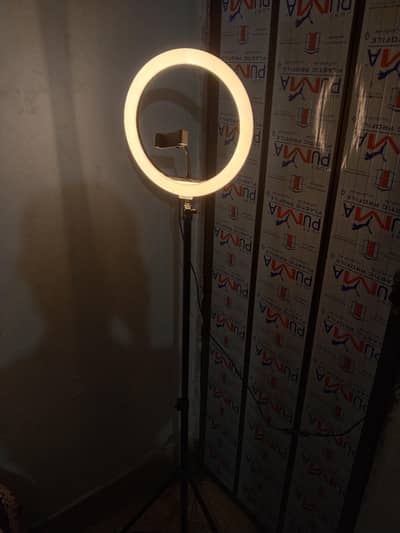 Ring light