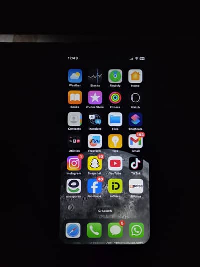 Apple iPhone X