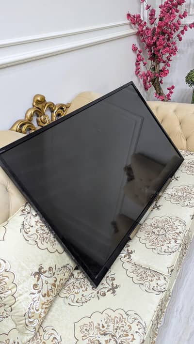 Sony Bravia 14 (Fifa Brazil Edition)