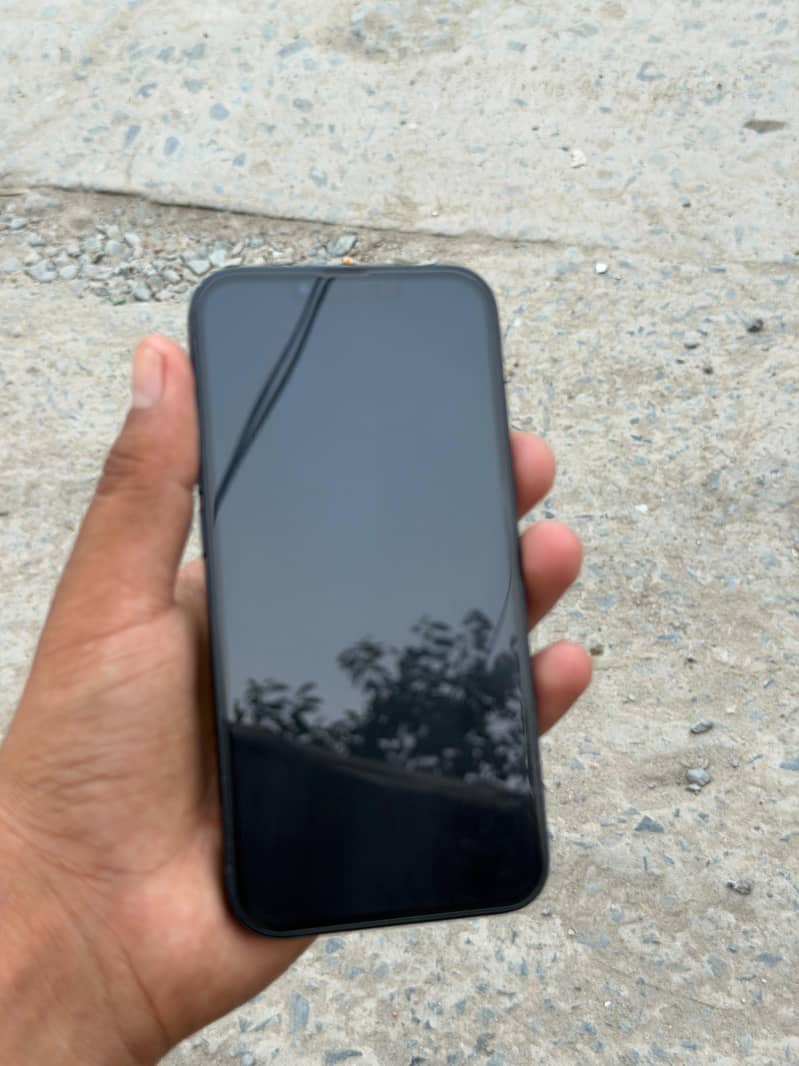 Apple iPhone 13 0
