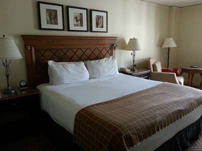 Family and Couple Rooms for Short Time Per Day Guest House Hotel Rooms Apartments