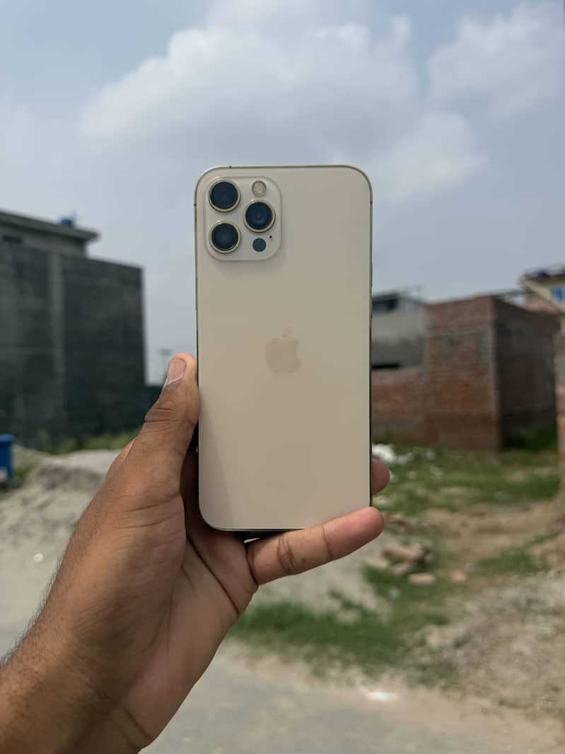 Apple iPhone 12 Pro Max 1
