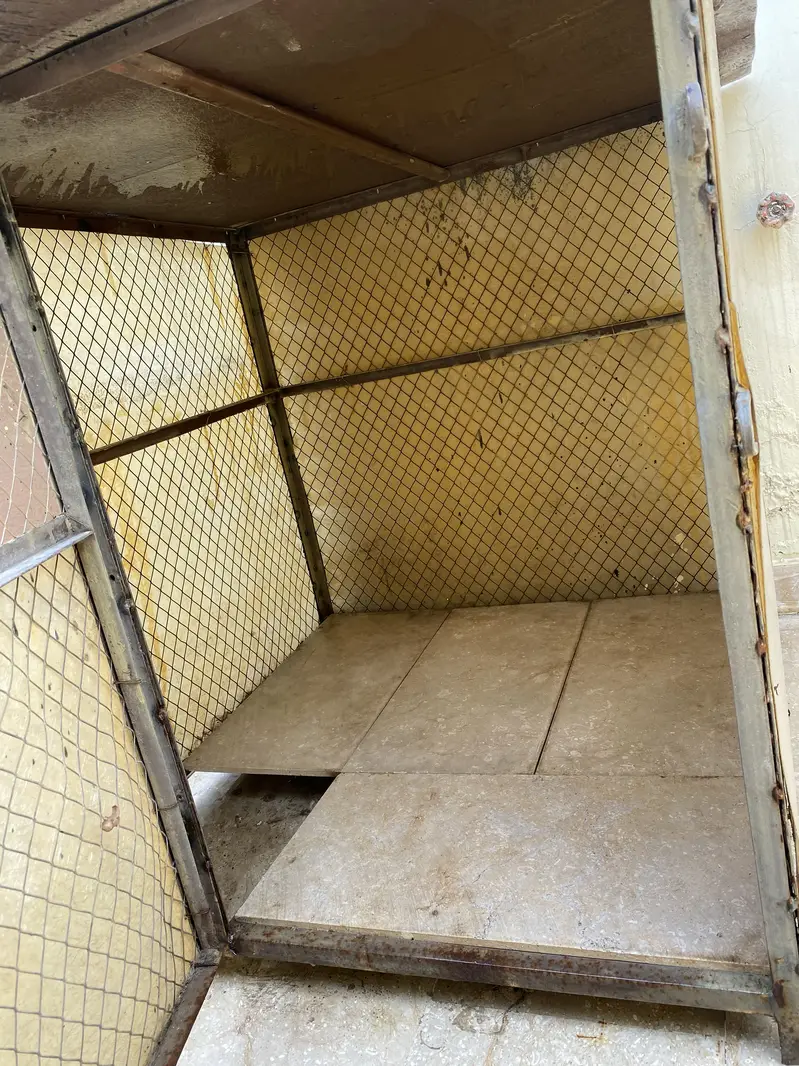 Dog Cafe for Sale — photo 4