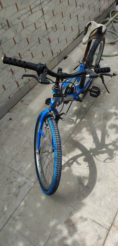 22 inch american bicycle