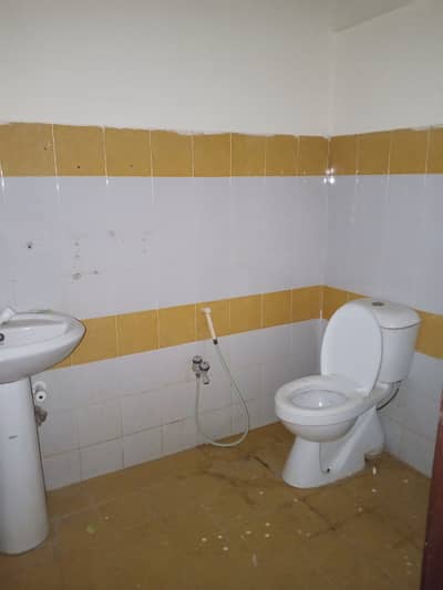 three bed dd kings palm apartment for rent in johar