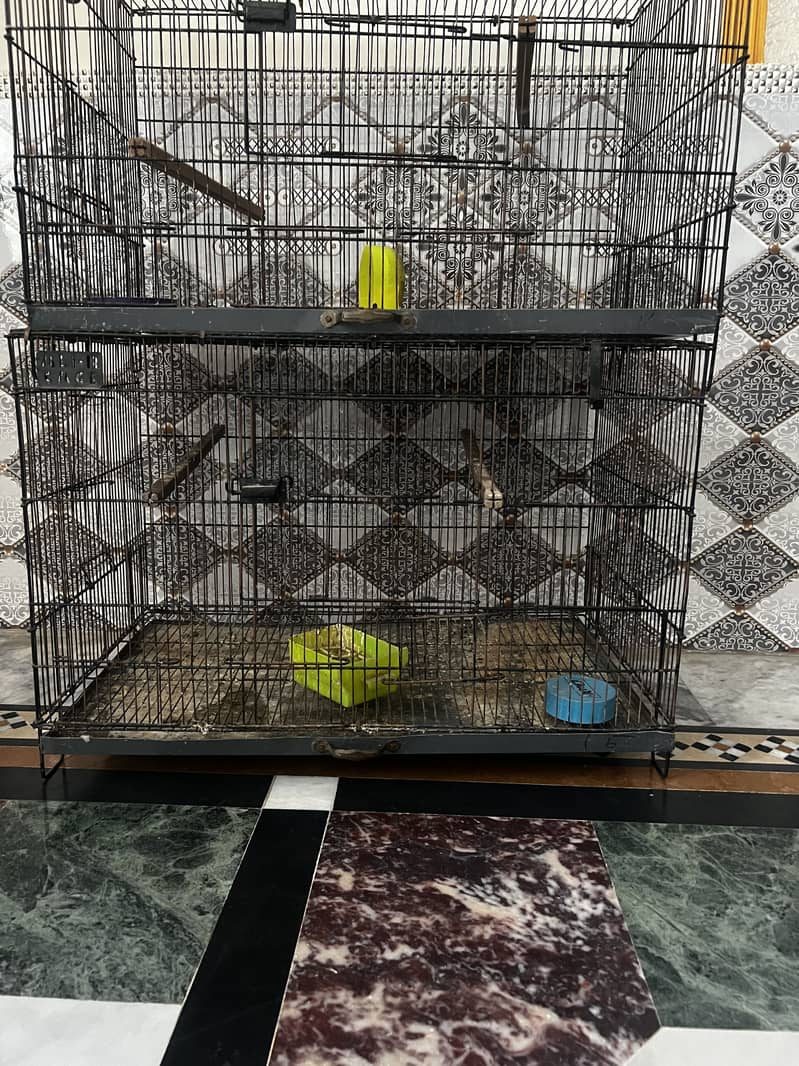 4 portion cage 0