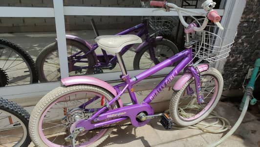 bhally Girl branded imported bicycle