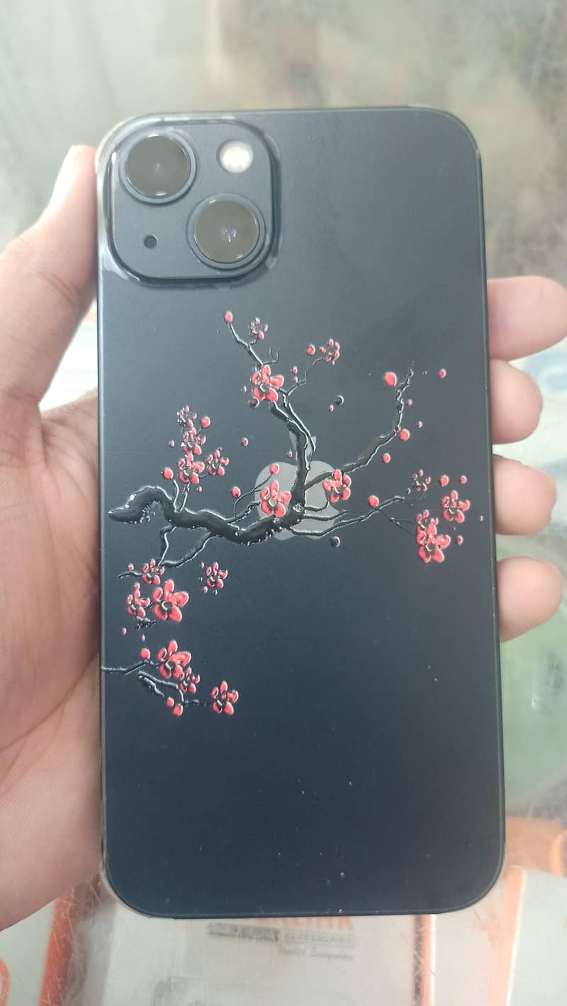 Apple iPhone 13 0